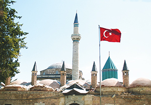 mevlana-sayı-141