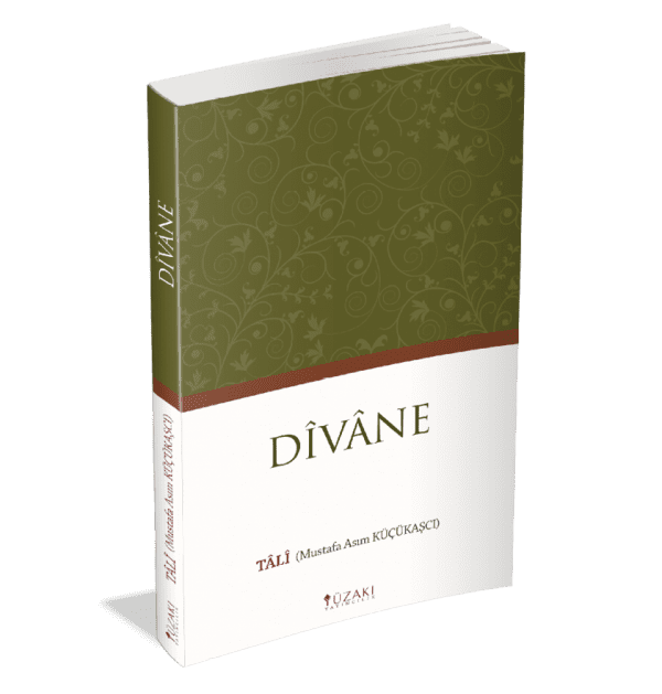 DİVANE