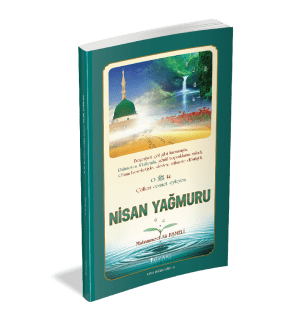 NİSAN YAĞMURU