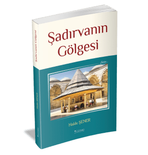 ŞADIRVANIN GÖLGESİ