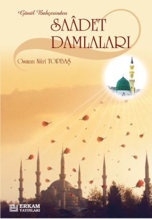 SAADET DAMLALARI